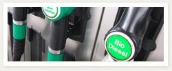 Infos zu Biodiesel EN14214